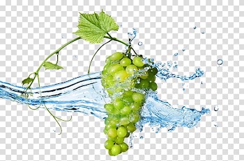 Grape Infusion Fruit , grape transparent background PNG clipart