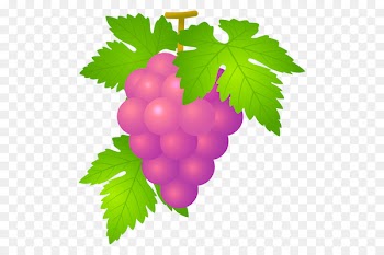Grape Koshu Osaka City Air Terminal Wine Fruit -  