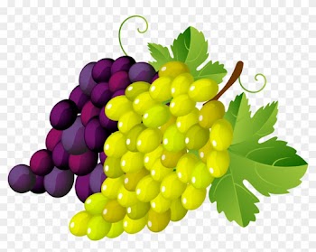 Grape Leaf Clip Art Design Medium Size - Grapes Clipart Transparent Background