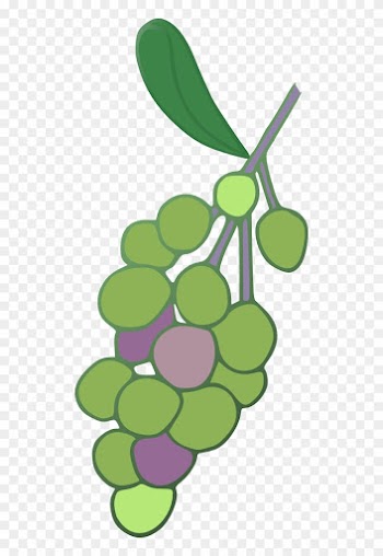 Grape Leaf Clip Art - Grape