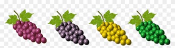 Grape Leaf Cliparts 23, Buy Clip Art - Seedless Fruit