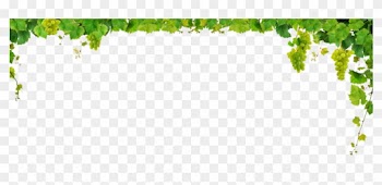 Grape Leaf Cliparts - Air Diffuser For Essential Oils In Dubai