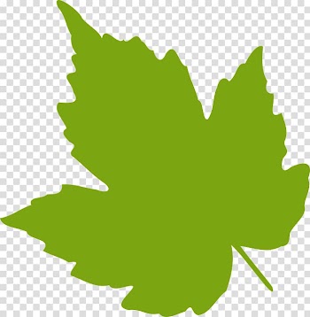 Grape leaves Grapevines , greenery transparent background PNG clipart