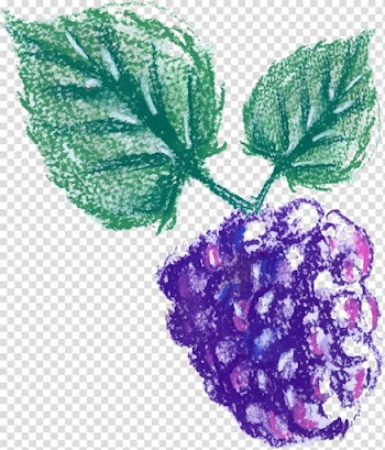Grape leaves Purple Leaf, Hand painted purple grapes transparent background PNG clipart