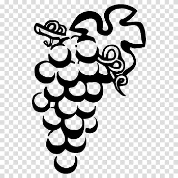 Grape Line art White , grape transparent background PNG clipart