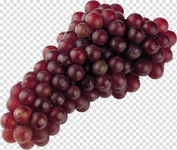 Grape Niagara Fruit , Grape , free transparent background PNG clipart