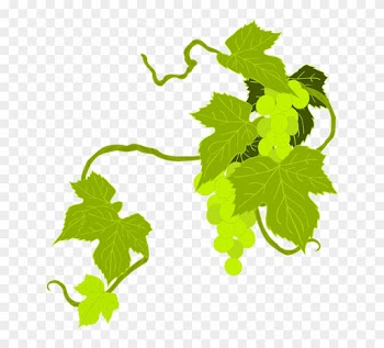 Grape Png 24, Buy Clip Art - Grape Leaf Clip Art