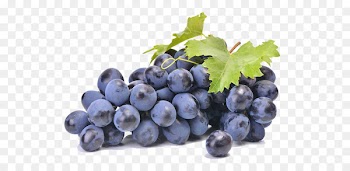 Grape seed extract Food Fruit Common Grape Vine - grape 