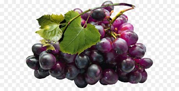 Grape seed extract Juice Grapefruit - Large Black Grapes PNG Clipart 