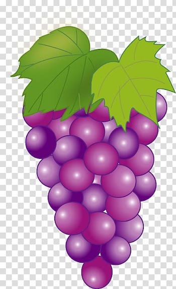 Grape seed extract Seedless fruit Harvest Bento, fruit vegetable transparent background PNG clipart
