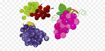 grape seedless fruit fruit grapevine family food