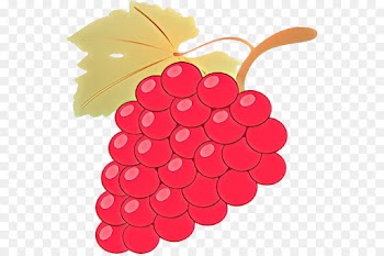 grape seedless fruit grapevine family red clip art