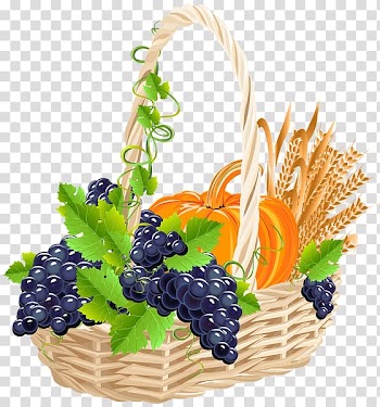 Grape Still life Harvest , grape transparent background PNG clipart