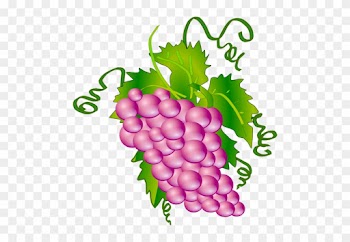 Grape Vector Graphics - Grapes Tree Clip Art