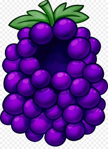 grape violet purple grapevine family fruit