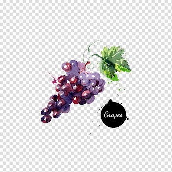 Grape Watercolor painting Drawing , grape transparent background PNG clipart