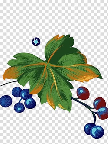 Grape Watercolor painting Illustration, Hand-painted blueberry transparent background PNG clipart