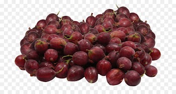 Grape Zante currant Seedless fruit Food - grape 