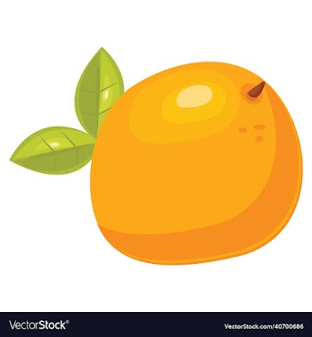 grapefruit fruit