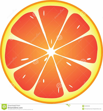 Grapefruit Icon stock illustration. Illustration of orange - 53833939