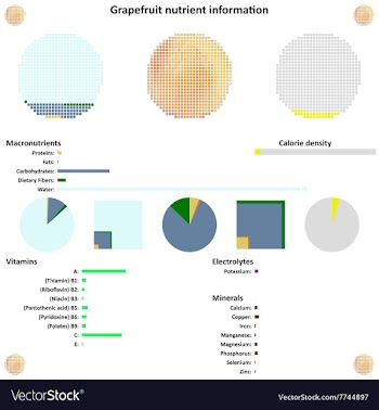 Grapefruit nutrient information vector image