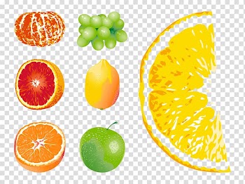Grapefruit Orange Euclidean , mouse painted fruit transparent background PNG clipart