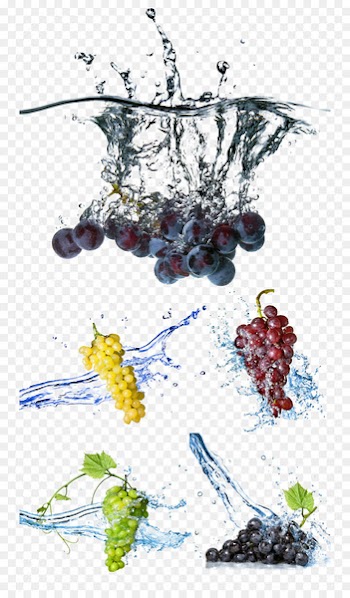 Grapefruit Stock photography Water - grape 