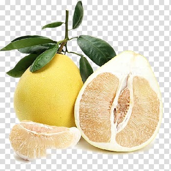 Grapefruit Thailand Juice Pomelo Thai cuisine, White grapefruit pulp transparent background PNG clipart