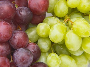 grapes background