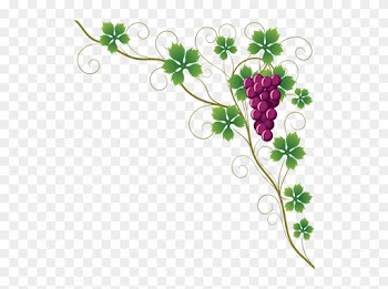 Grapes Border Png