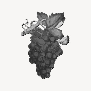 Grapes clipart, vintage illustration vector. | Free Vector Illustration - rawpixel