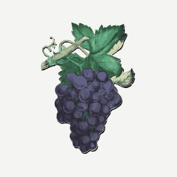 Grapes collage element, drawing illustration | Free PSD Illustration - rawpixel