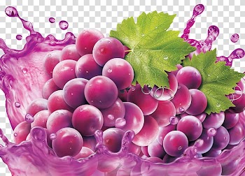 Grapes illustration, Grape juice Grape juice Fruit, Purple grape juice transparent background PNG clipart