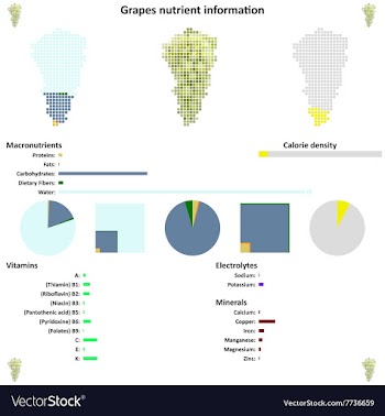 Grapes nutrient information vector image