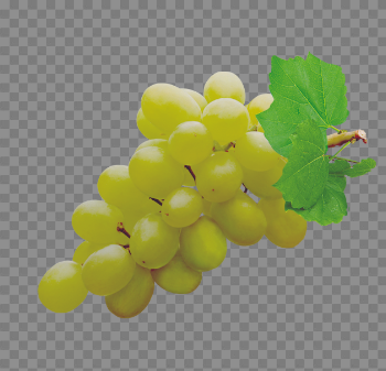 Grapes PNG Pic