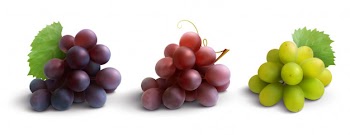 Grapes realistic composition with red rose and white grapes isolated Free Vector
