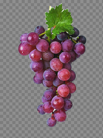 Grapes Transparent Images