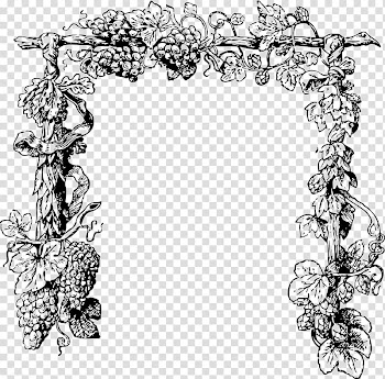 Grapevine Frame transparent background PNG clipart