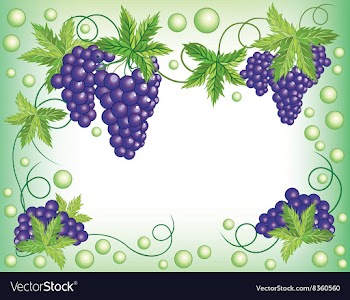 Grapevine Frame vector image