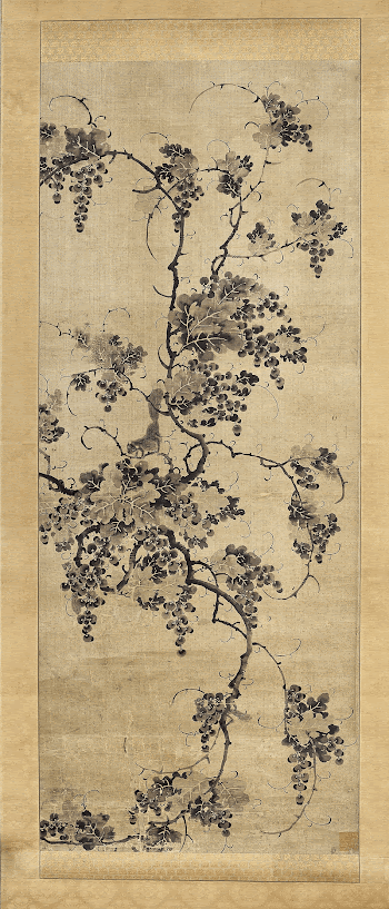 grapevine with abundant grape clusters, | Free Photo - rawpixel