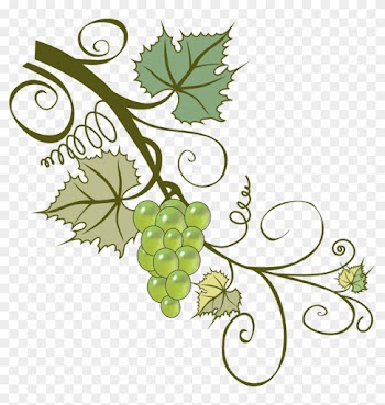 Grapevines Branch Leaf Clip Art - 葡萄 藤