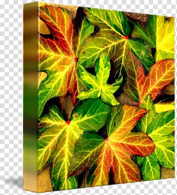 Graph Art Canvas Maurisca kind, heart autumn transparent background PNG clipart