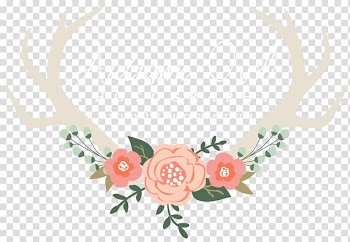 Grapher Gift Drawing Flower, Watercolor roses transparent background PNG clipart