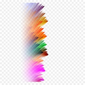 Graphic design Art - Colorful Art Feather 