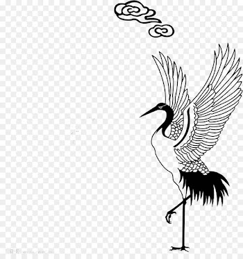 Graphic Design, Drawing, Cartoon, Bird, White PNG