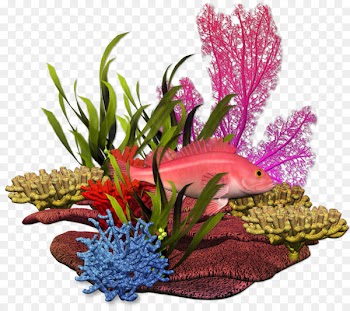 Graphic design Plant Sea Marine biology - coral 