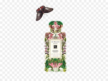 Graphic design Printmaking Art Perfume Illustration - Watercolor perfume 