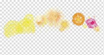 Graphic design Text Petal Illustration, Colorful fireworks bursting element transparent background PNG clipart