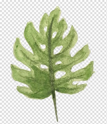 Graphic design Watercolor painting Behance, water color leaf transparent background PNG clipart