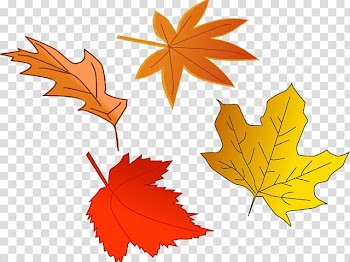 Graphics Autumn Illustration , ig. transparent background PNG clipart